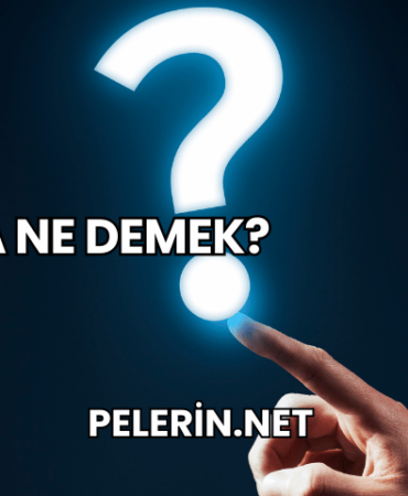 İzza Ne Demek?