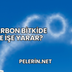 Karbon Bitkide Ne İşe Yarar?
