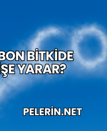 Karbon Bitkide Ne İşe Yarar?