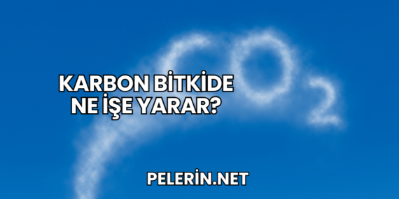 Karbon Bitkide Ne İşe Yarar?