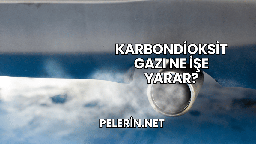 Karbondioksit Gazı Ne İşe Yarar?