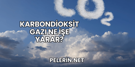 Karbondioksit Gazı Ne İşe Yarar?