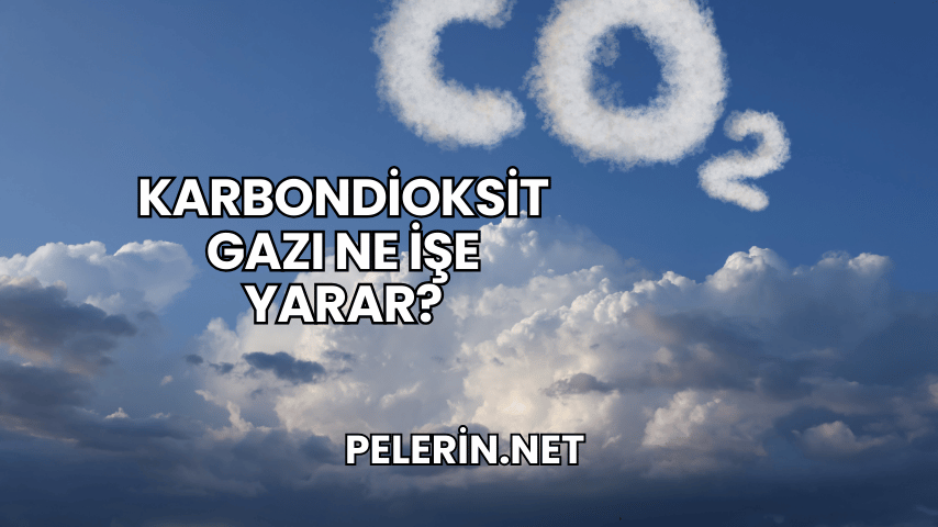 Karbondioksit Gazı Ne İşe Yarar?