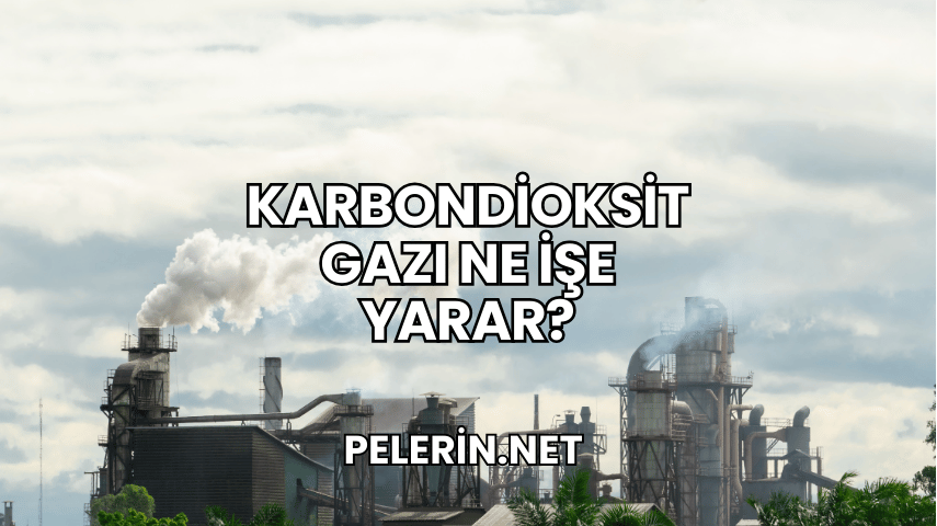Karbondioksit Gazı Ne İşe Yarar?