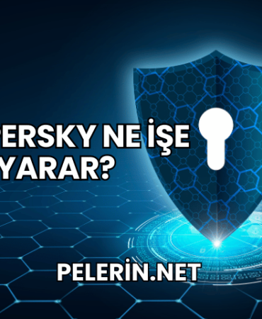 Kaspersky Ne İşe Yarar?