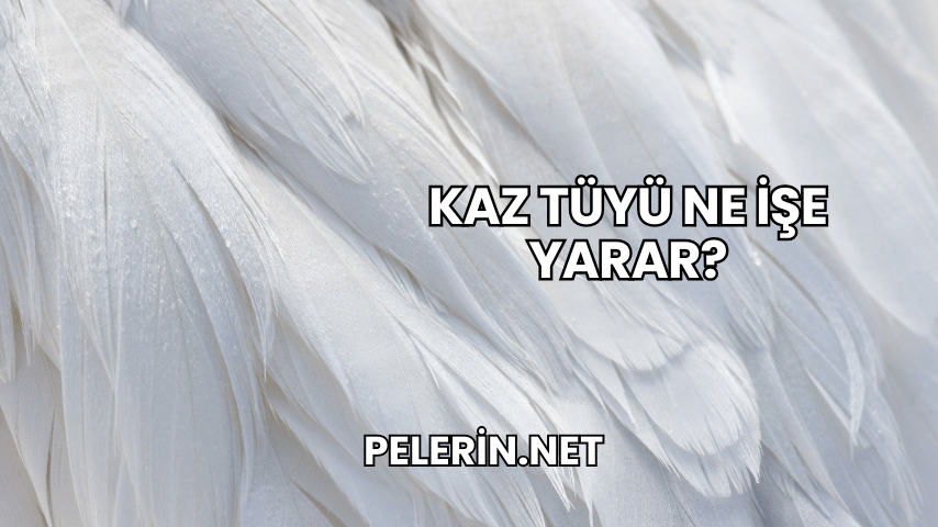Kaz Tüyü Ne İşe Yarar?