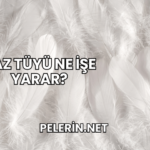 Kaz Tüyü Ne İşe Yarar?