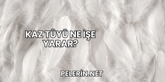 Kaz Tüyü Ne İşe Yarar?