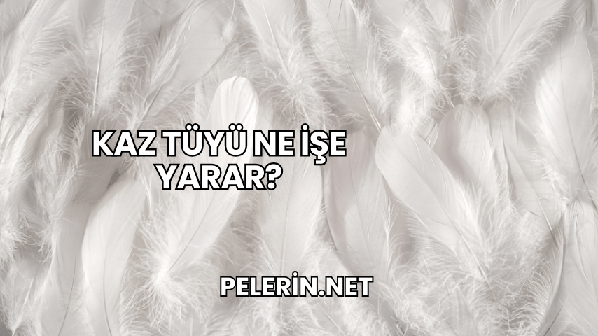 Kaz Tüyü Ne İşe Yarar?