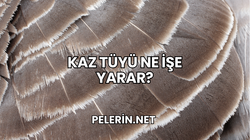 Kaz Tüyü Ne İşe Yarar?