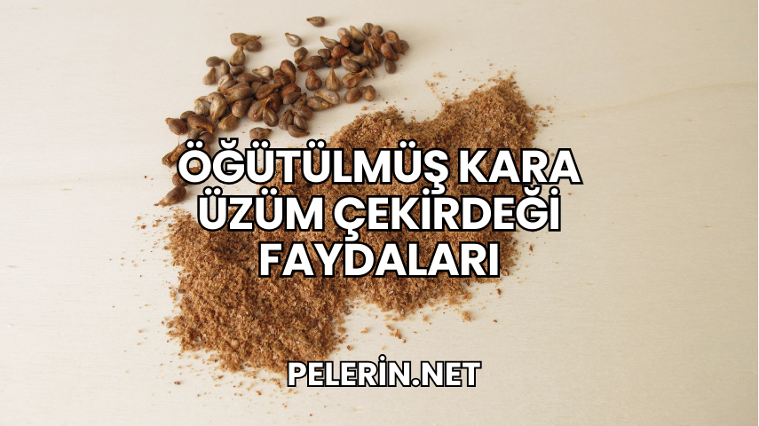 Öğütülmüş Kara Üzüm Çekirdeği Faydaları