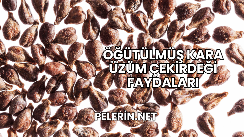 Öğütülmüş Kara Üzüm Çekirdeği Faydaları