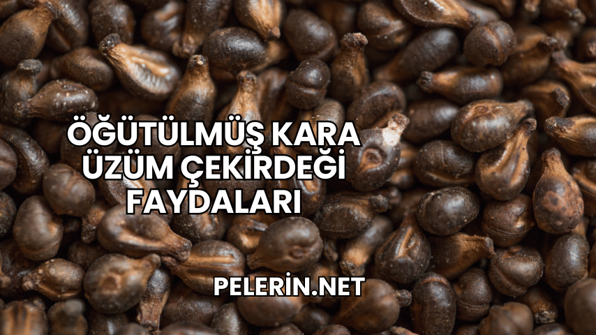 Öğütülmüş Kara Üzüm Çekirdeği Faydaları