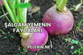 Şalgam Yemenin Faydaları