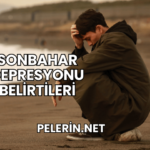 Sonbahar Depresyonu Belirtileri