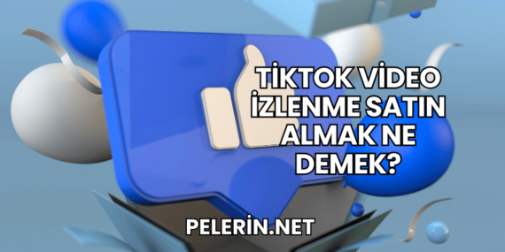 TikTok Video İzlenme Satın Almak Ne Demek?