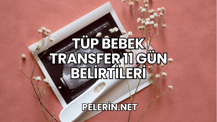 Tüp Bebek Transfer 11 Gün Belirtileri