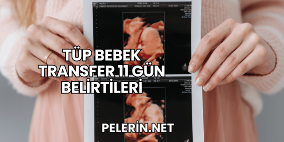 Tüp Bebek Transfer 11 Gün Belirtileri