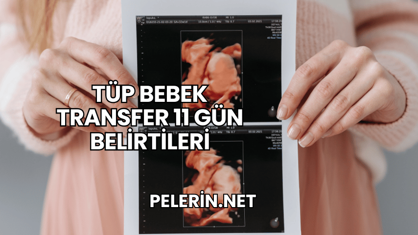 Tüp Bebek Transfer 11 Gün Belirtileri