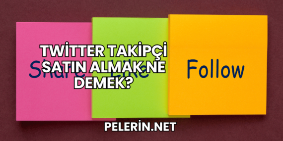 Twitter Takipçi Satın Almak Ne Demek?