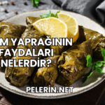 Üzüm Yaprağının Faydaları Nelerdir?