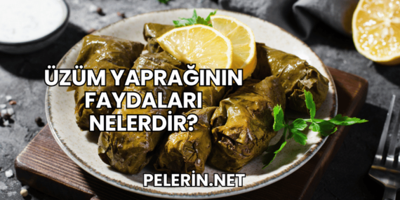 Üzüm Yaprağının Faydaları Nelerdir?
