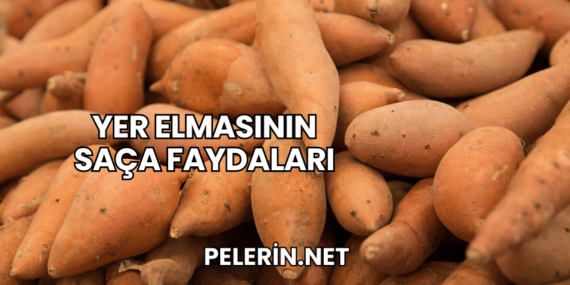 Yer Elmasının Saça Faydaları