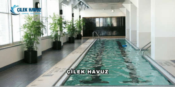 Çilek Havuz Hakkında: Havuz ve Spa Sistemlerinde Güvenilir Marka