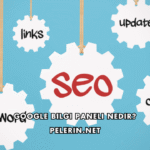 Google Bilgi Paneli Nedir?