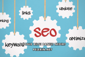 Google Bilgi Paneli Nedir?