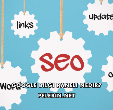 Google Bilgi Paneli Nedir?