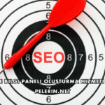 Google Bilgi Paneli Oluşturma Hizmeti Nedir?