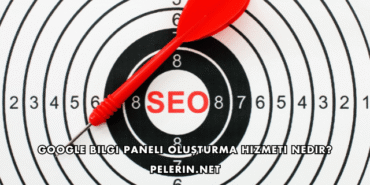 Google Bilgi Paneli Oluşturma Hizmeti Nedir?