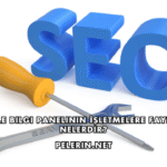 Google Bilgi Panelinin İşletmelere Faydaları Nelerdir?